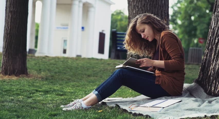 How to directly hire Professional academic writers 1 professional writers