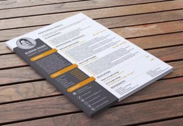 resume writing services